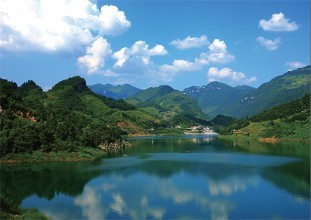 重慶商標(biāo)注冊(cè)流程及材料？重慶商標(biāo)注冊(cè)所需費(fèi)用？
