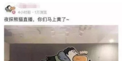 “王思聰”商標(biāo)被公然叫賣(mài)80萬(wàn)！