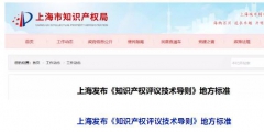 10月1日施行！上海發(fā)布《知識產(chǎn)權(quán)評議技術(shù)導(dǎo)則》地方標(biāo)準(zhǔn)