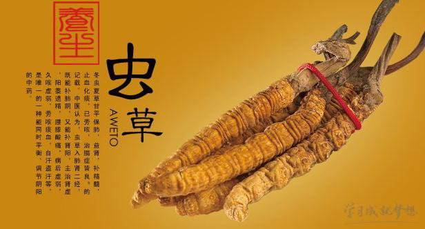 冬蟲(chóng)夏草產(chǎn)品商標(biāo)屬于哪一類(lèi)