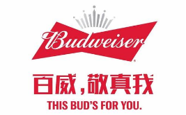 假冒 “百威”商標(biāo)罐裝啤酒，廣西玉林興業(yè)縣法院審理首起侵犯知識(shí)產(chǎn)權(quán)罪案件