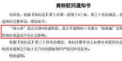 這種商標(biāo)被駁回的情況，一定要多審視幾遍才好