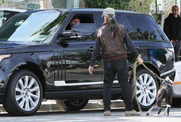 以“動物”為標志的汽車，路上見到記得避讓，碰壞了賣車也賠不起