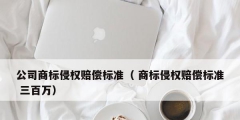 公司商標侵權(quán)賠償標準（ 商標侵權(quán)賠償標準 三百萬）