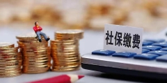 補繳社保需要什么材料(社?？梢匝a繳嗎)
