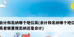 會(huì)計(jì)和出納哪個(gè)地位高(會(huì)計(jì)和出納哪個(gè)地位高老板重視出納還是會(huì)計(jì))