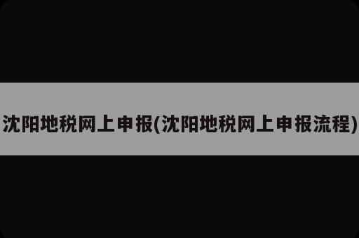 沈陽地稅網(wǎng)上申報(bào)(沈陽地稅網(wǎng)上申報(bào)流程)