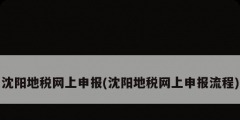 沈陽地稅網上申報(沈陽地稅網上申報流程)