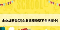 企業(yè)戰(zhàn)略類型(企業(yè)戰(zhàn)略類型不包括哪個)