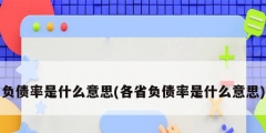 負(fù)債率是什么意思(各省負(fù)債率是什么意思)