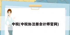 中稅(中稅協(xié)注冊會計(jì)師官網(wǎng))